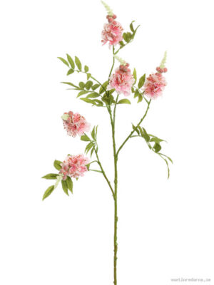 Spike Blossom