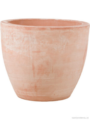 Terra Cotta