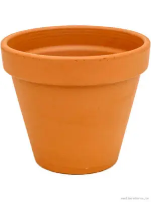 Terra Cotta - Vaxtinredarna.se