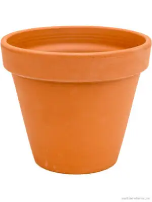 Terra Cotta - Vaxtinredarna.se