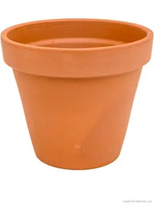 Terra Cotta - Vaxtinredarna.se