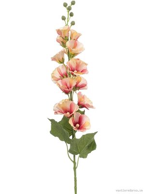 Alcea - Vaxtinredarna.se