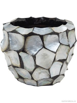 Baq Oceana Pearl - Vaxtinredarna.se
