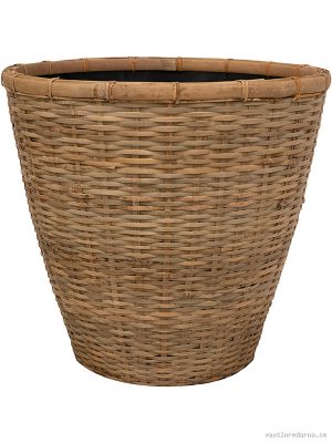 Daina - Vaxtinredarna.se