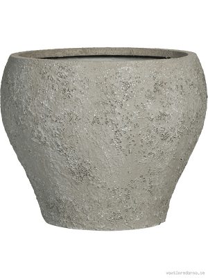Oyster - Vaxtinredarna.se