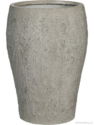 Oyster - Vaxtinredarna.se