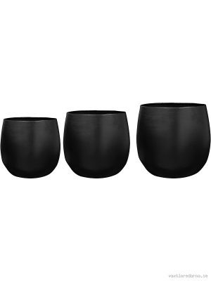 Stijn - Vaxtinredarna.se