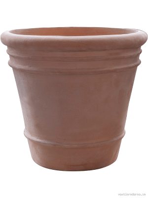 Terra Cotta Doppio - Vaxtinredarna.se