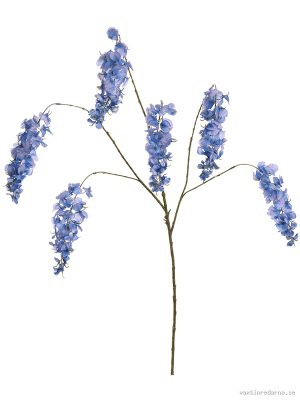 Wisteria - Vaxtinredarna.se