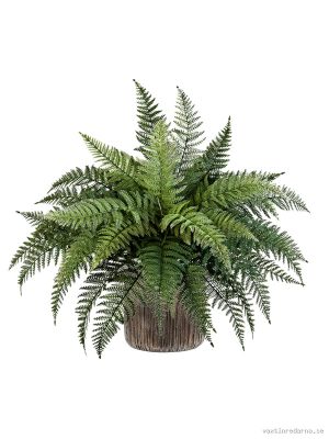 Fern in Baq Luxe Lite Universe Waterfall - Vaxtinredarna.se