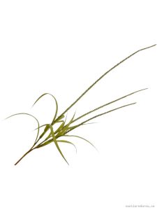 Silk-ka