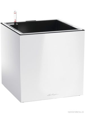 Lechuza Premium Canto 40 Low LED - Vaxtinredarna.se
