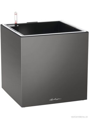 Lechuza Premium Canto 40 Low LED - Vaxtinredarna.se