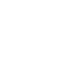 Växtinredarna i Väst AB